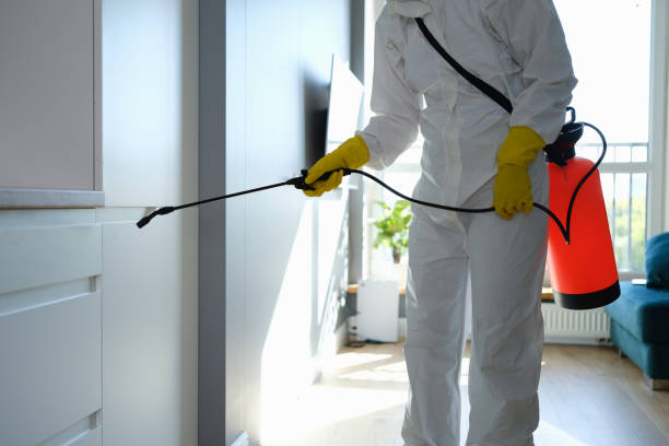 Best Certified Mold Removal  in Dunbar, WV