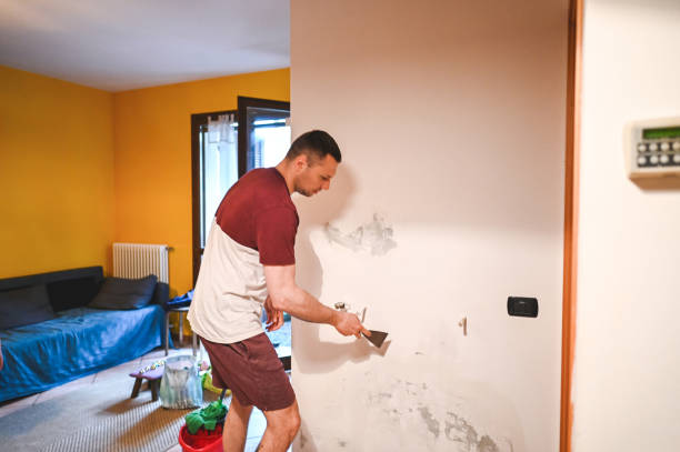 Best Residential Mold Removal  in Dunbar, WV